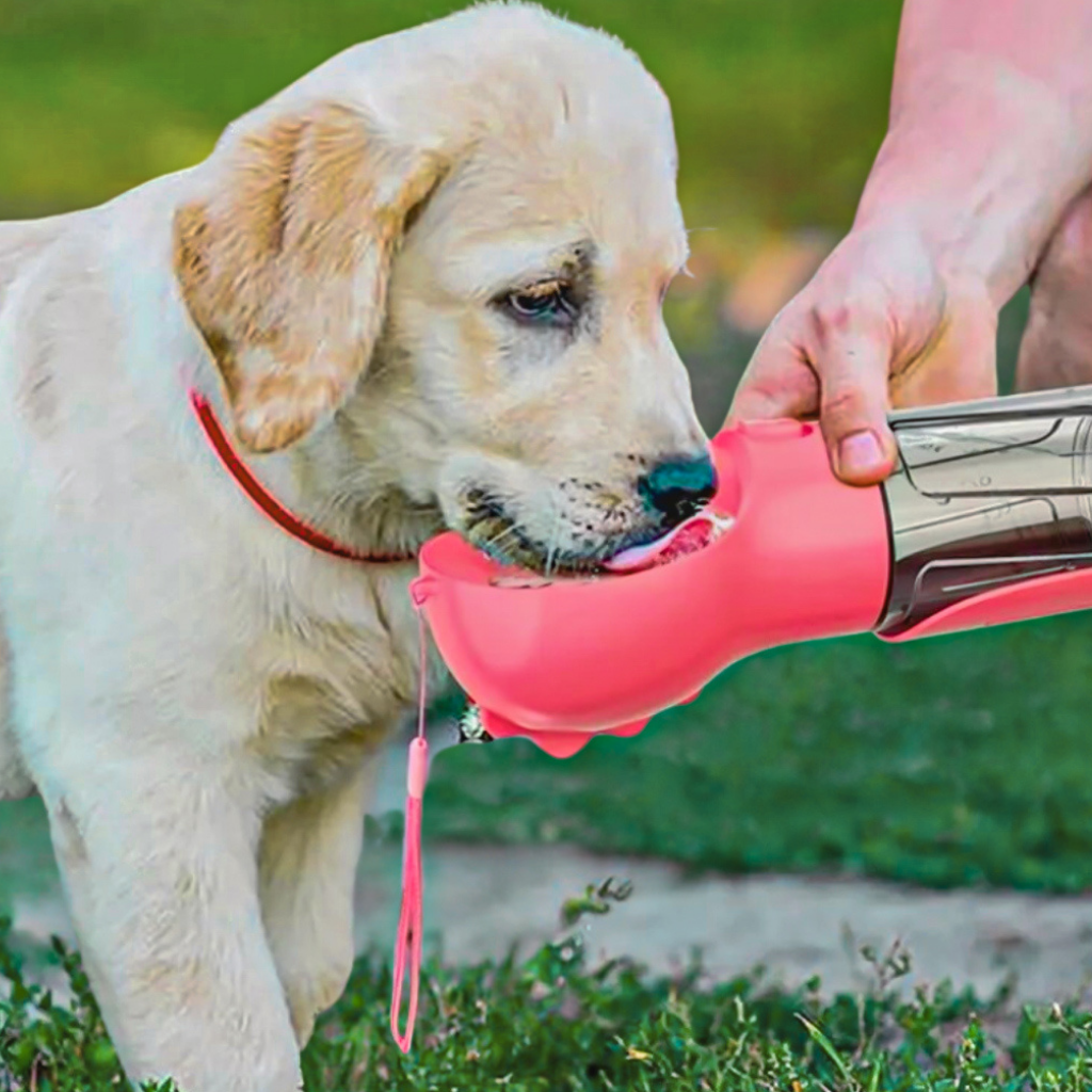 BEBEDERO 4 EN 1 PARA MASCOTAS